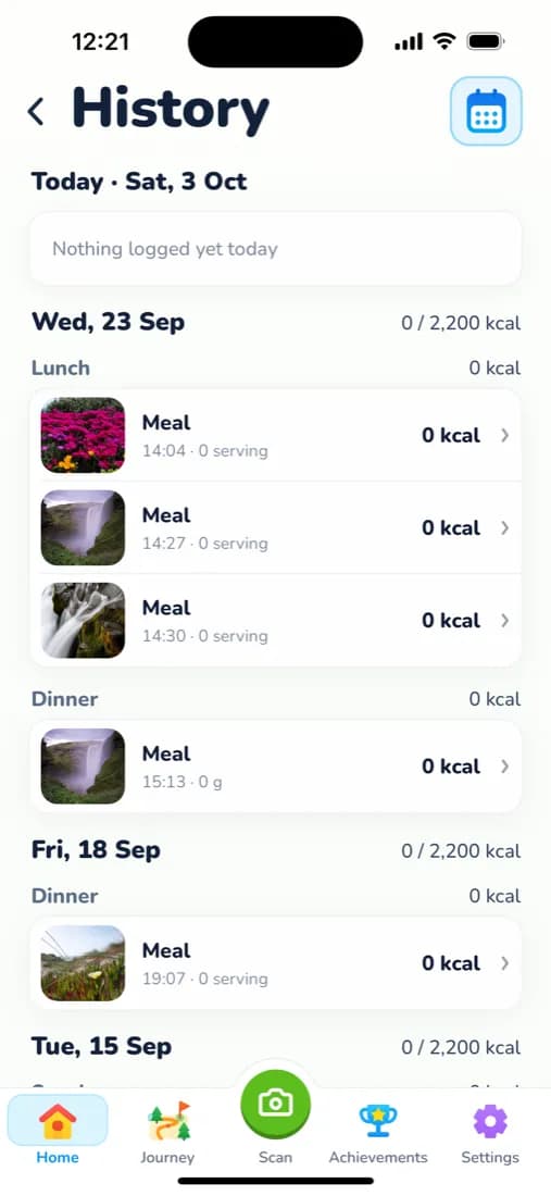 Food diary history grouped by day and meal